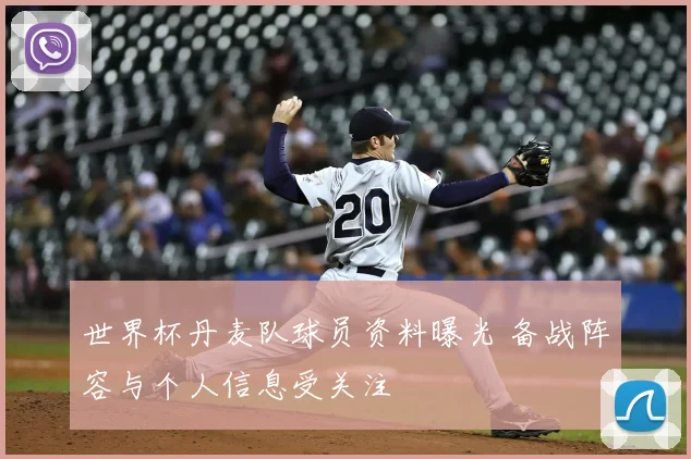 世界杯丹麦队球员资料曝光 备战阵容与个人信息受关注