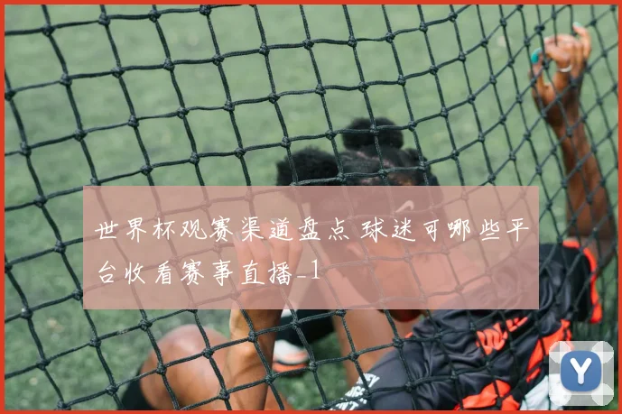 世界杯观赛渠道盘点 球迷可哪些平台收看赛事直播_1