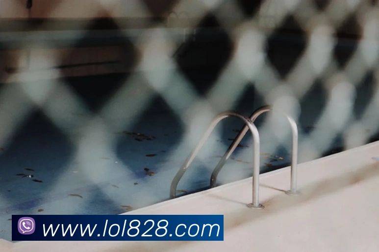 世界杯官网线上平台平台生态图